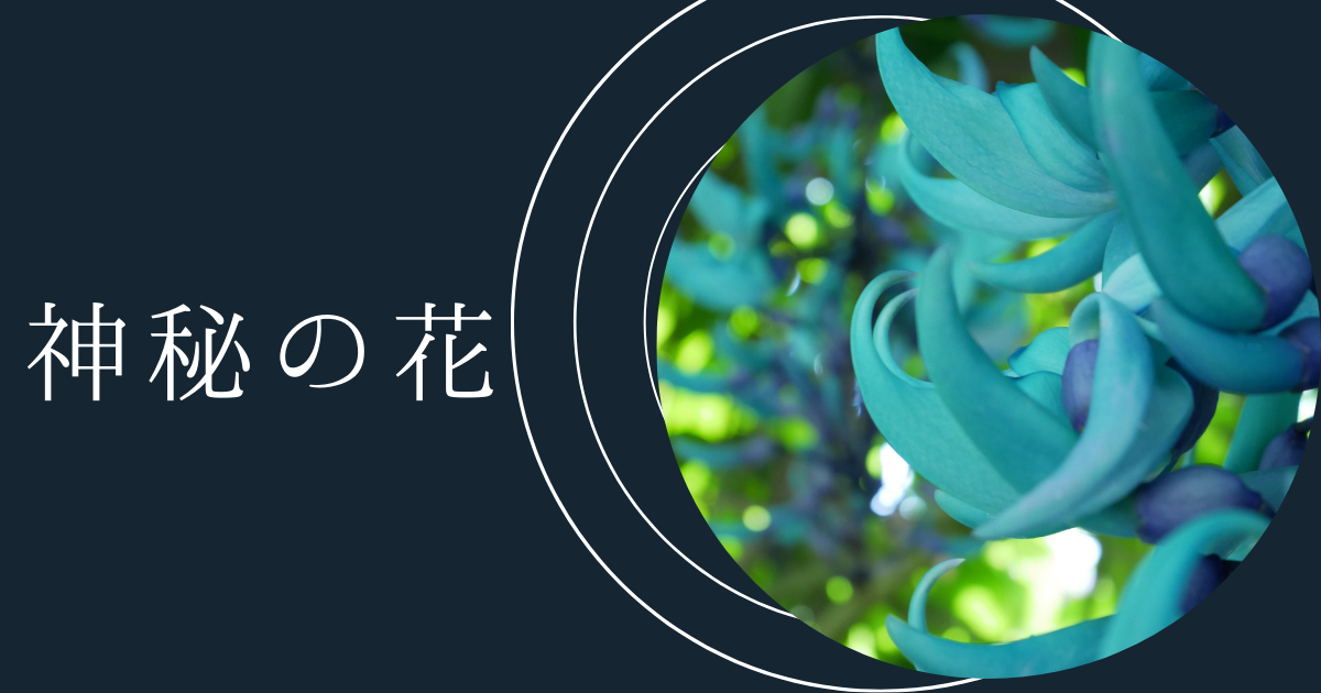 f:id:forest-moon:20220410160826p:plain