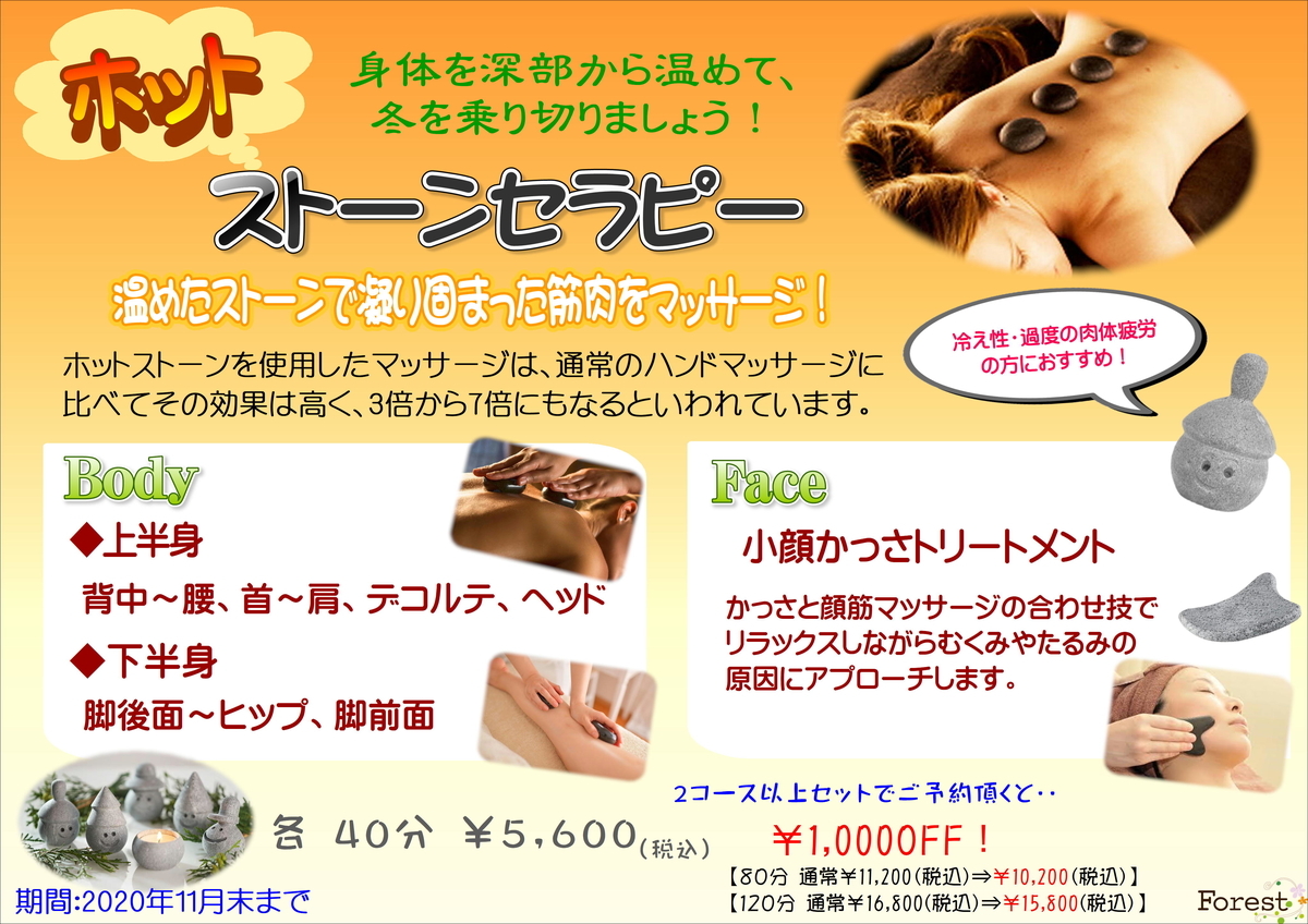 f:id:forest1136:20201103131840j:plain