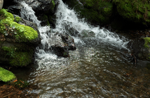 f:id:forest_and_river:20210410234047j:plain