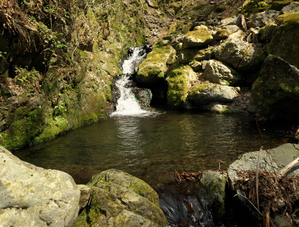 f:id:forest_and_river:20210410234257j:plain