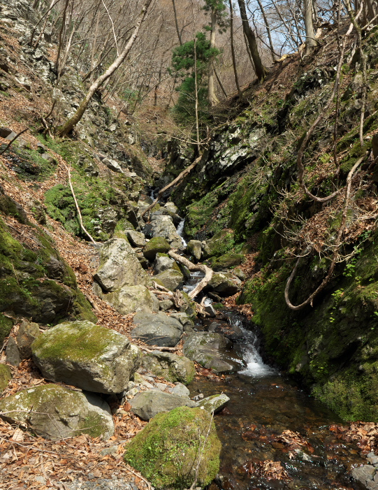 f:id:forest_and_river:20210410234410j:plain