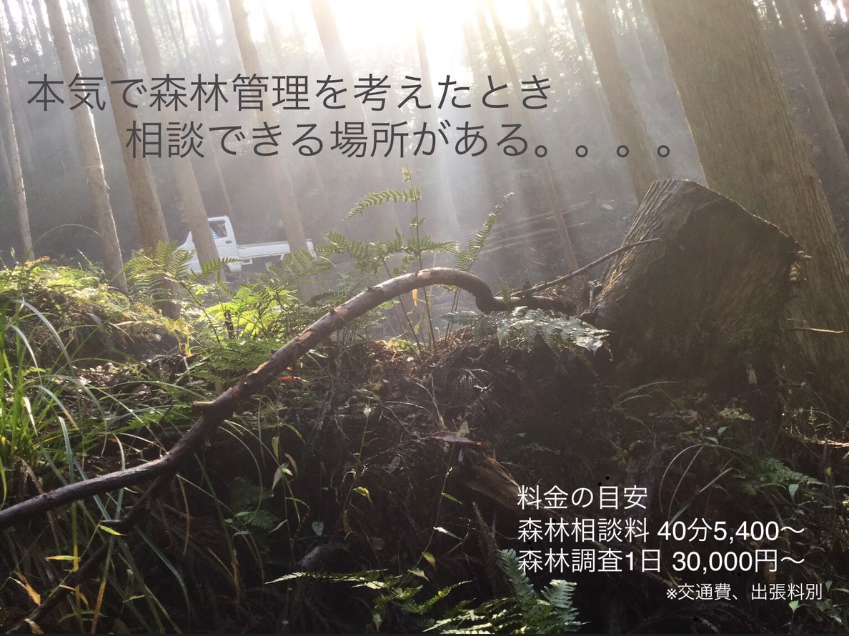 f:id:foresters:20191218211108j:plain