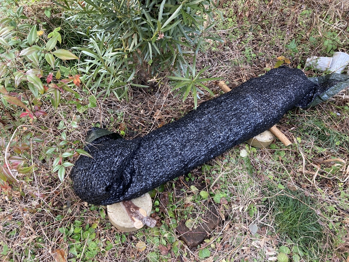 f:id:forestgardening:20220220192349j:plain