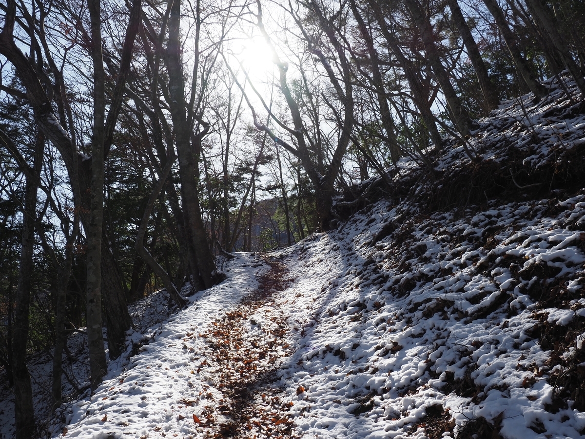 f:id:forestline:20191130121443j:plain f:id:forestline:20191130121443j:plain