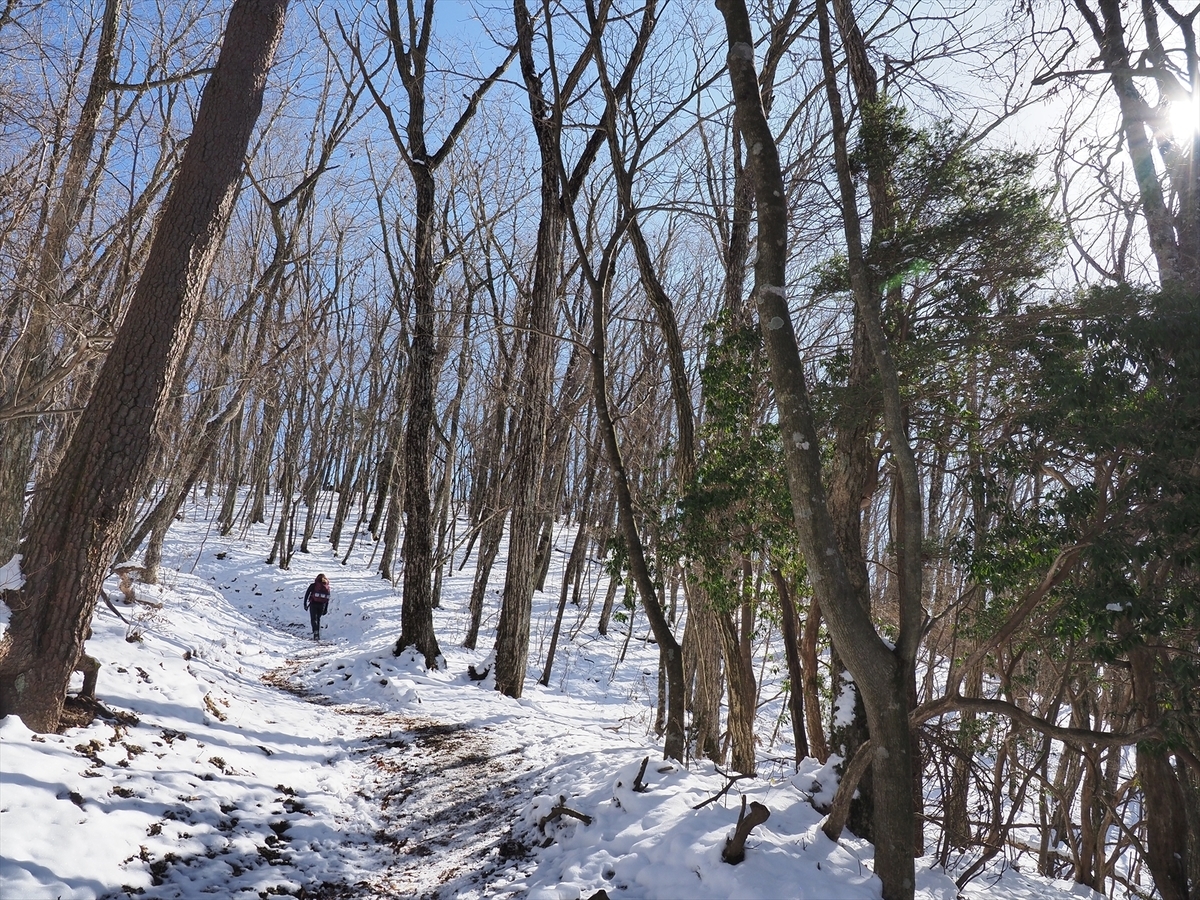 f:id:forestline:20191130124124j:plain f:id:forestline:20191130124124j:plain