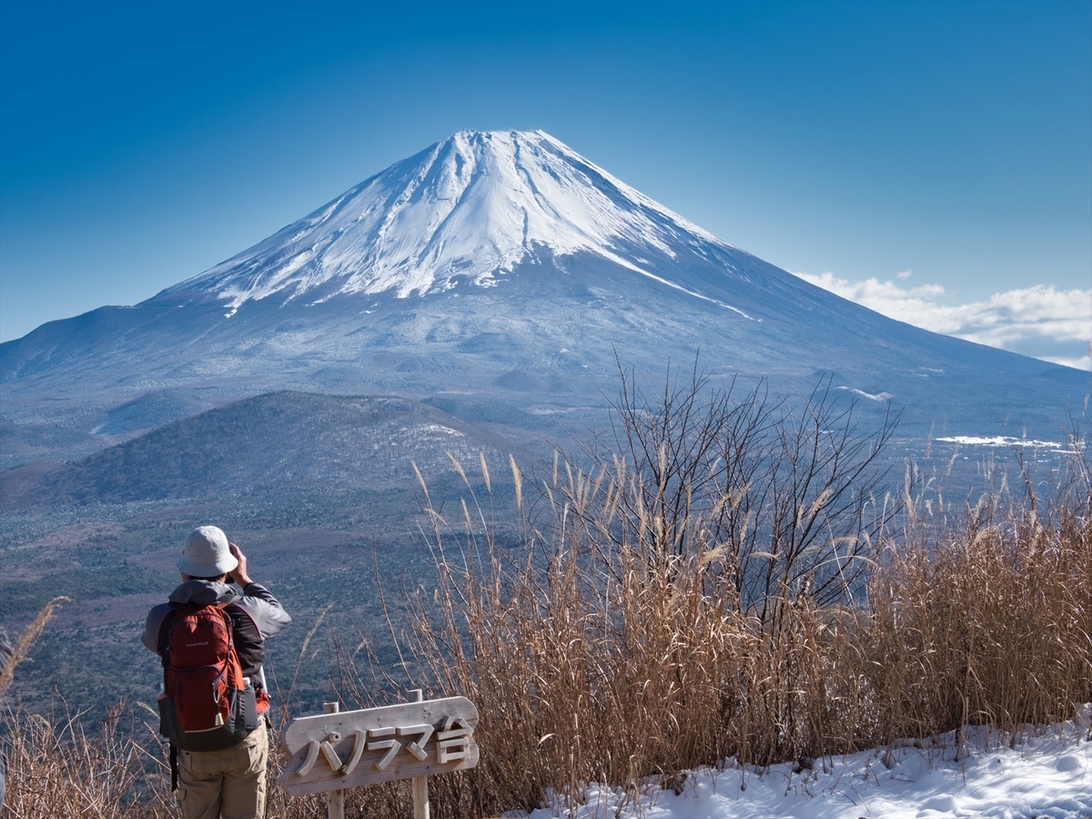 f:id:forestline:20191130124832j:plain f:id:forestline:20191130124832j:plain