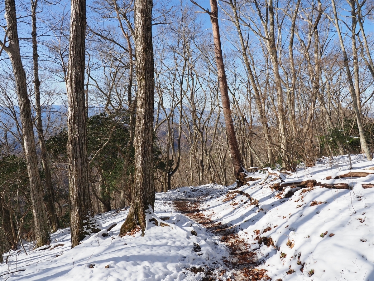 f:id:forestline:20191130133739j:plain f:id:forestline:20191130133739j:plain