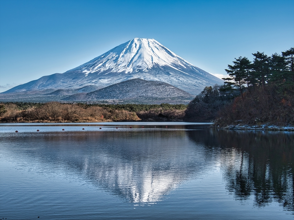 f:id:forestline:20191130142802j:plain f:id:forestline:20191130142802j:plain
