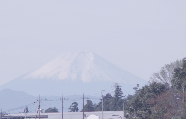 f:id:forestree:20191208211016p:plain