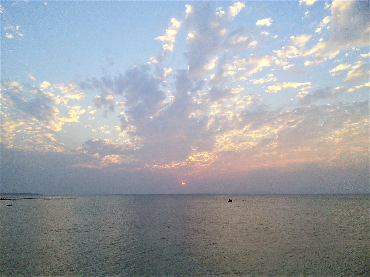 f:id:fork_to_spoon:20210207080457j:plain
