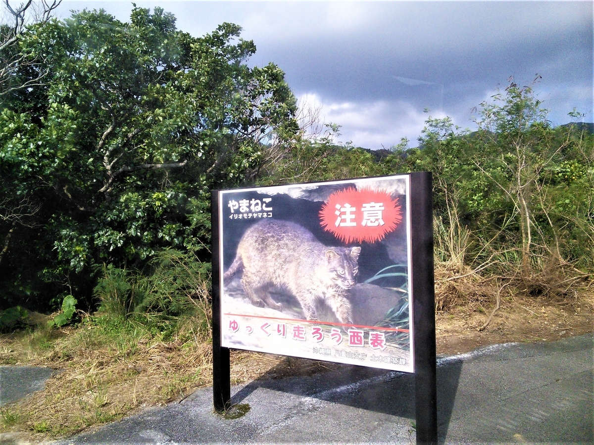 f:id:fork_to_spoon:20210208060146j:plain