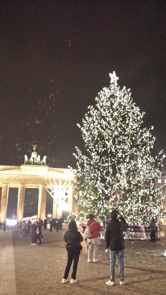 f:id:fork_to_spoon:20211209055739j:plain