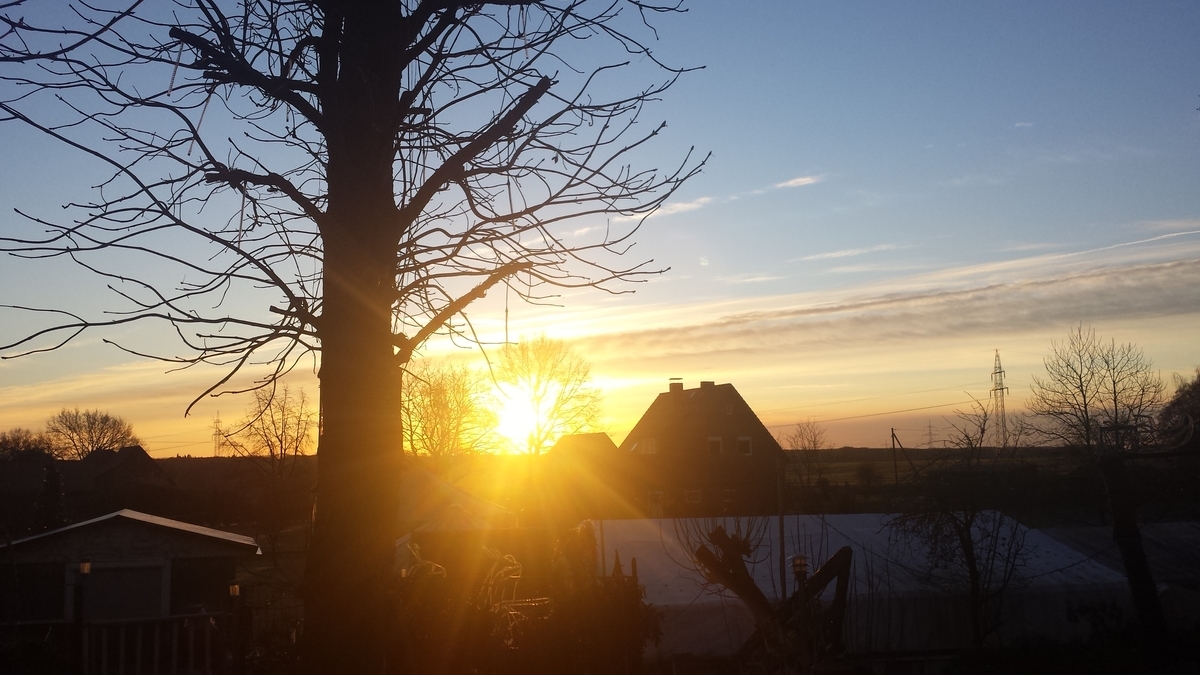 f:id:fork_to_spoon:20211227230903j:plain