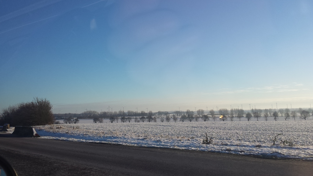 f:id:fork_to_spoon:20211228014048j:plain