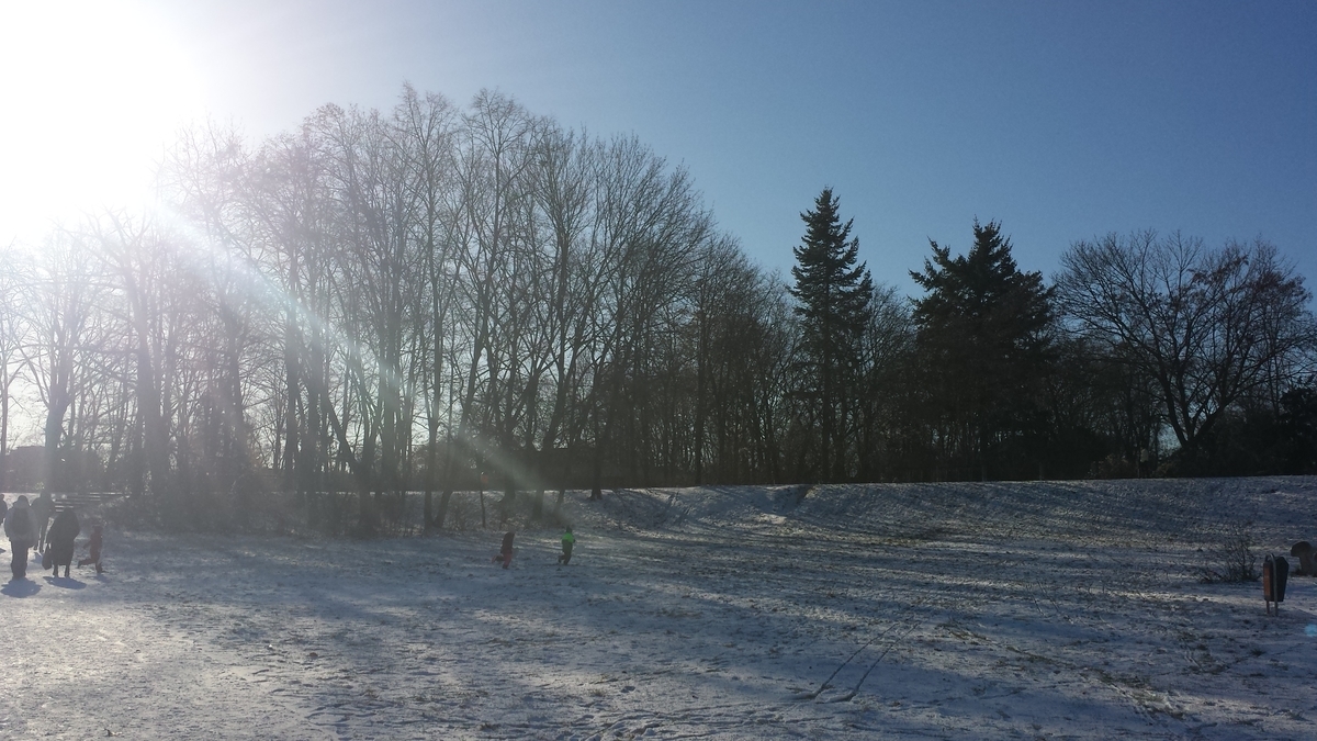 f:id:fork_to_spoon:20220123052650j:plain