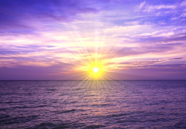 f:id:formosa1:20211231085547j:plain