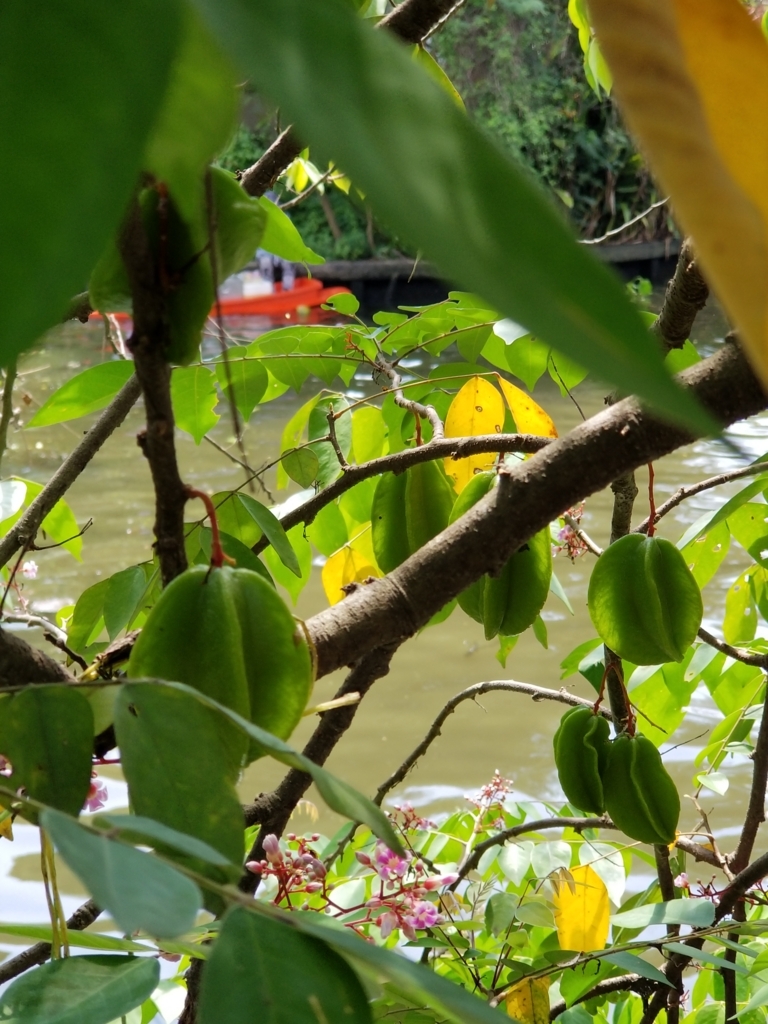 f:id:forqualitylife8:20180730160018j:plain f:id:forqualitylife8:20180730160018j:plain