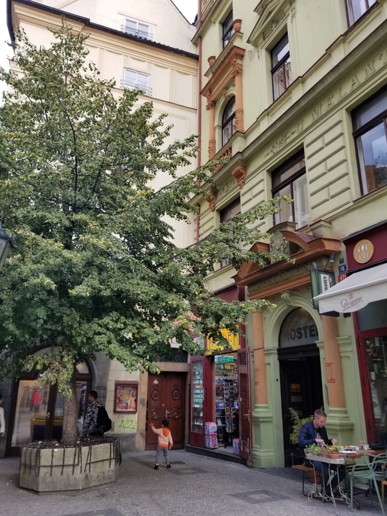 f:id:forqualitylife8:20190211104155j:plain f:id:forqualitylife8:20190211104155j:plain