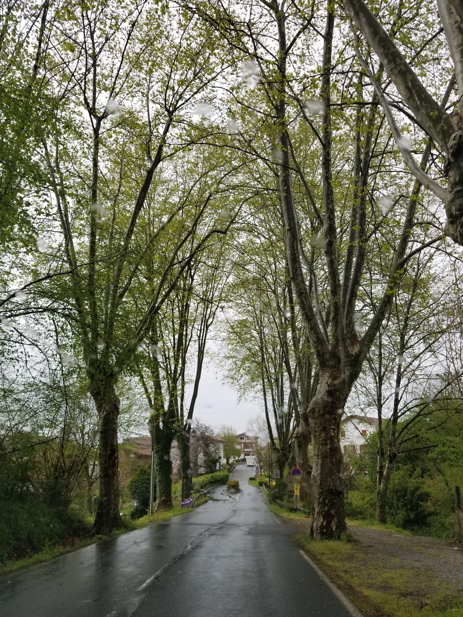 f:id:forqualitylife8:20191008204402j:plain f:id:forqualitylife8:20191008204402j:plain