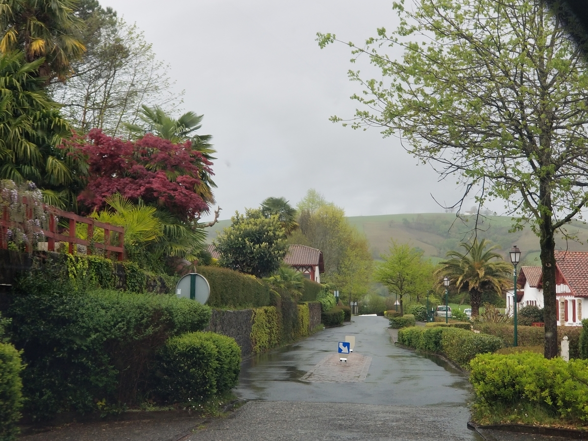 f:id:forqualitylife8:20191008204417j:plain f:id:forqualitylife8:20191008204417j:plain