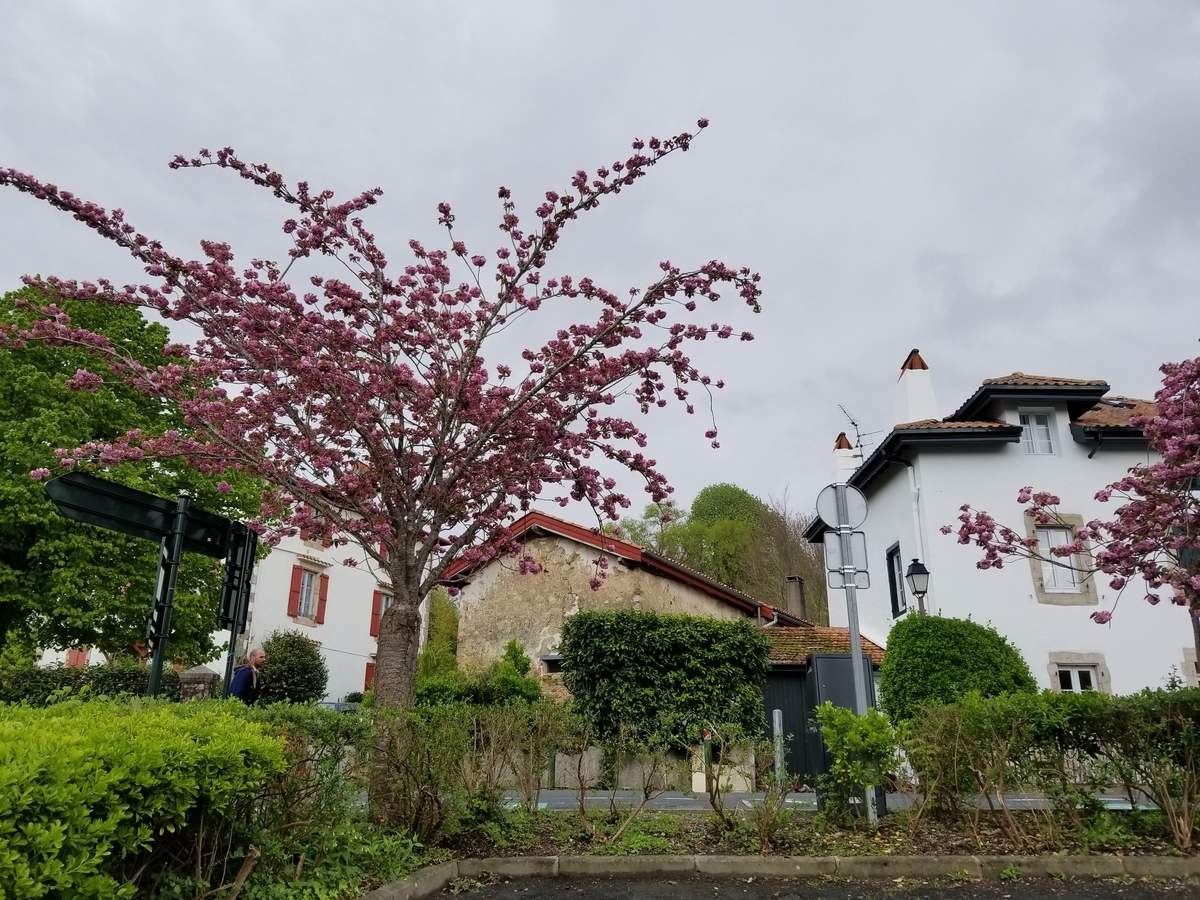 f:id:forqualitylife8:20191008205713j:plain f:id:forqualitylife8:20191008205713j:plain