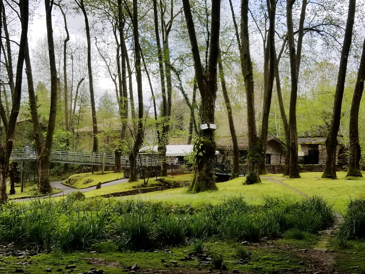f:id:forqualitylife8:20191008215247j:plain f:id:forqualitylife8:20191008215247j:plain