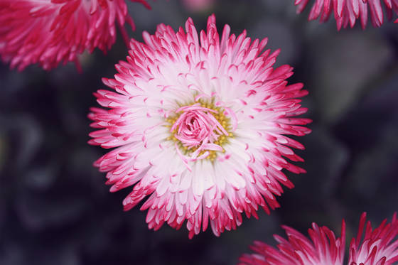 f:id:forsomeone:20190202171047j:plain
