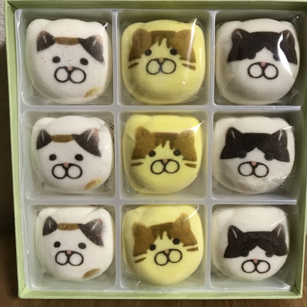 f:id:fortheshirt:20180131015423j:plain f:id:fortheshirt:20180131015423j:plain