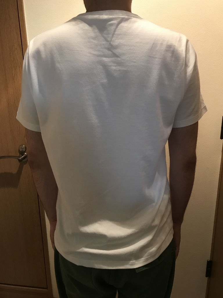 f:id:fortheshirt:20180706222558j:plain