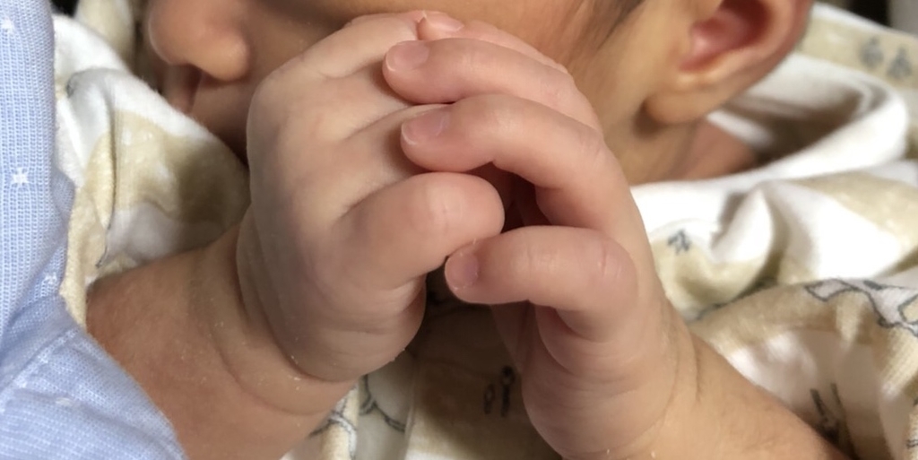 f:id:fortheshirt:20181031213200j:plain f:id:fortheshirt:20181031213200j:plain