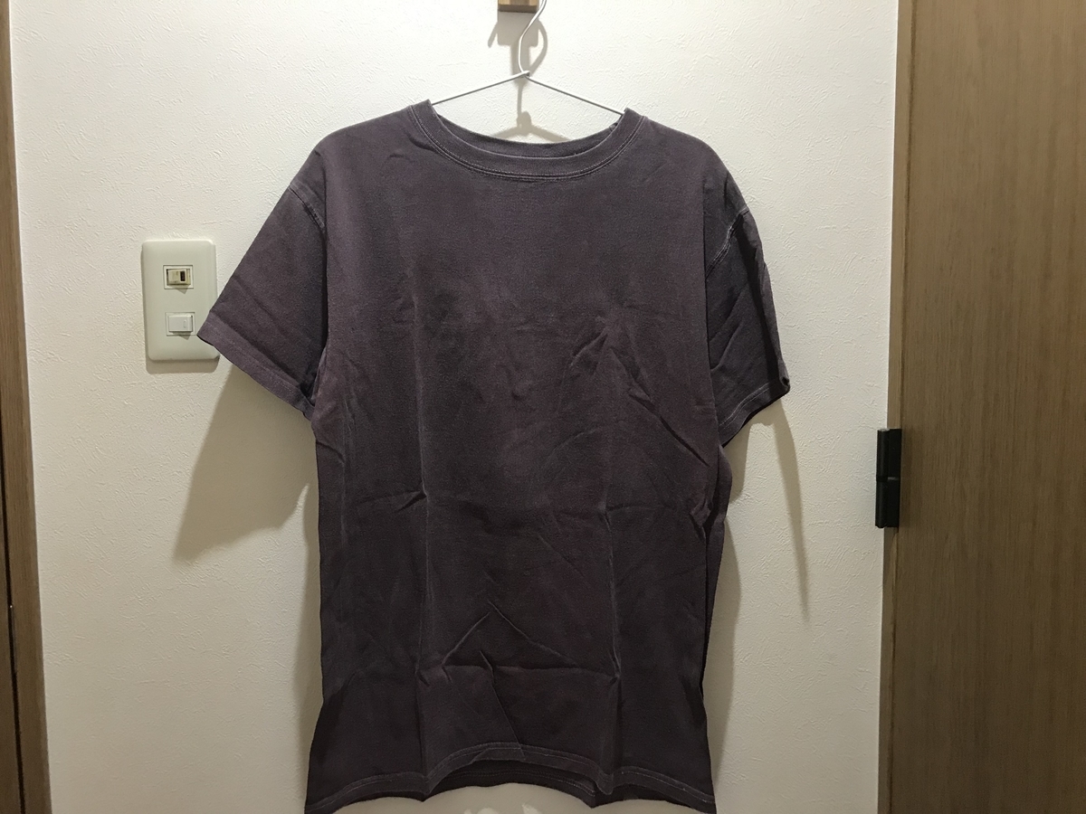 f:id:fortheshirt:20190510110352j:plain