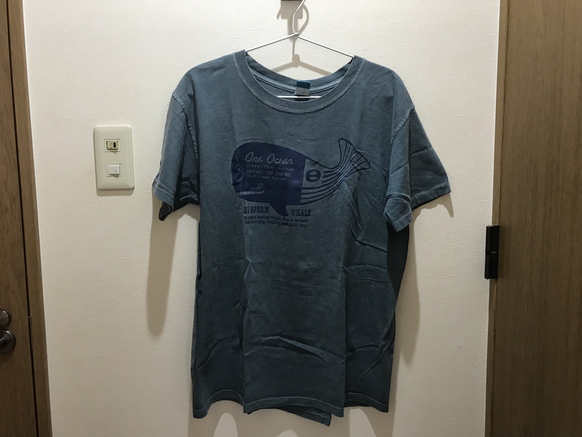 f:id:fortheshirt:20190510110521j:plain