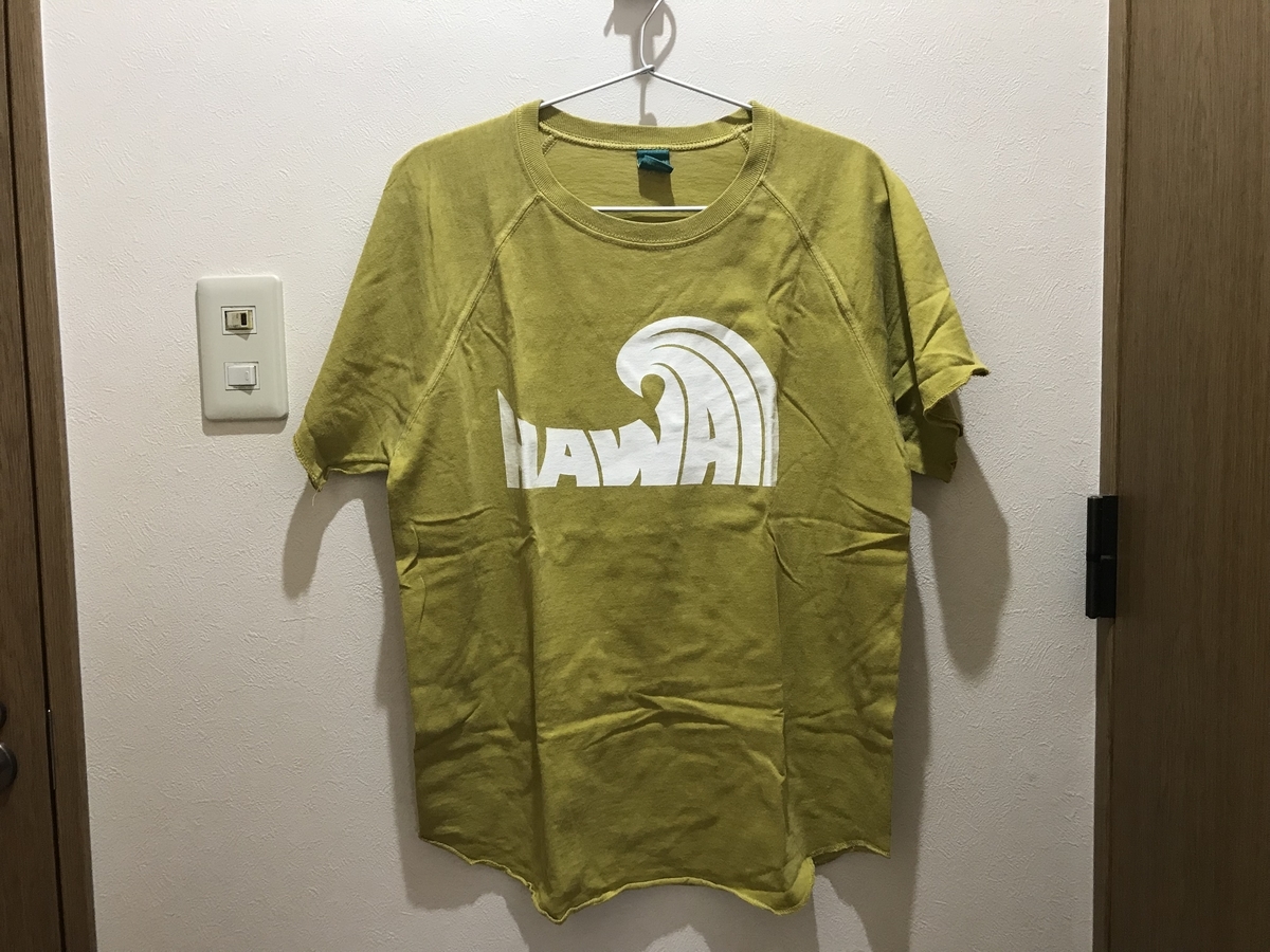 f:id:fortheshirt:20190510110544j:plain f:id:fortheshirt:20190510110544j:plain