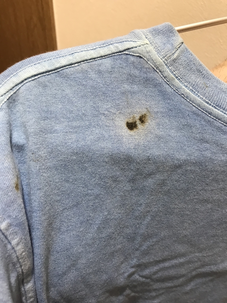 f:id:fortheshirt:20190510111222j:plain f:id:fortheshirt:20190510111222j:plain