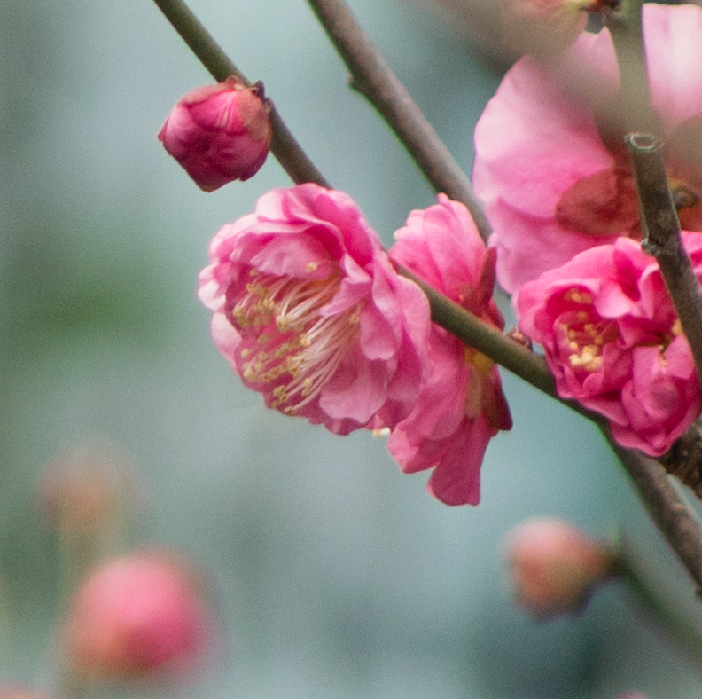 f:id:fortia:20180208012425j:plain f:id:fortia:20180208012425j:plain