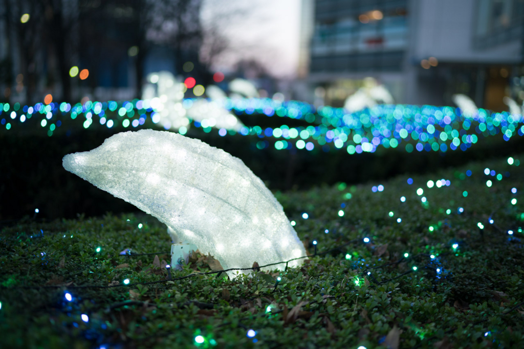 f:id:fortia:20180325230659j:plain