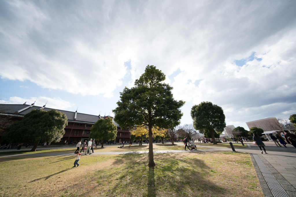 f:id:fortia:20180515231713j:plain