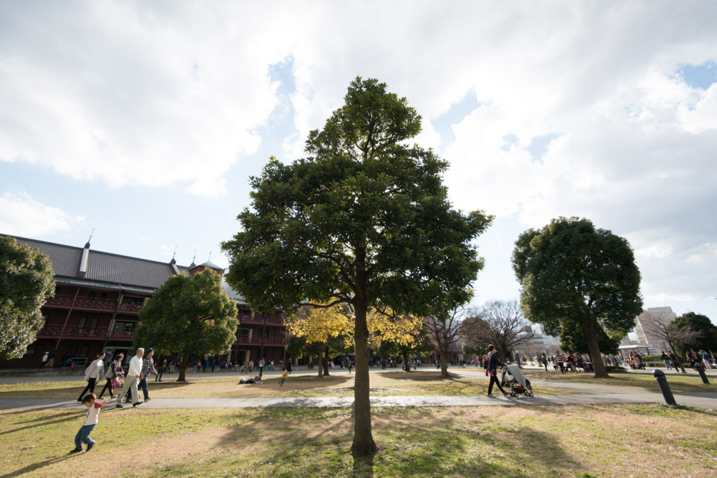 f:id:fortia:20180515231828j:plain