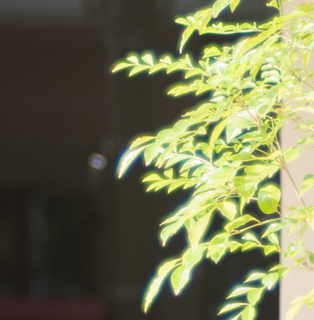 f:id:fortia:20180523011737j:plain