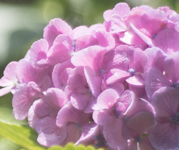 f:id:fortia:20180915114559j:plain f:id:fortia:20180915114559j:plain