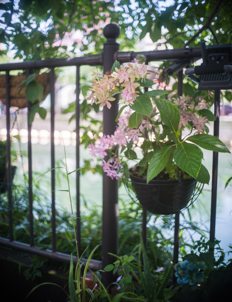 f:id:fortia:20180915121403j:plain