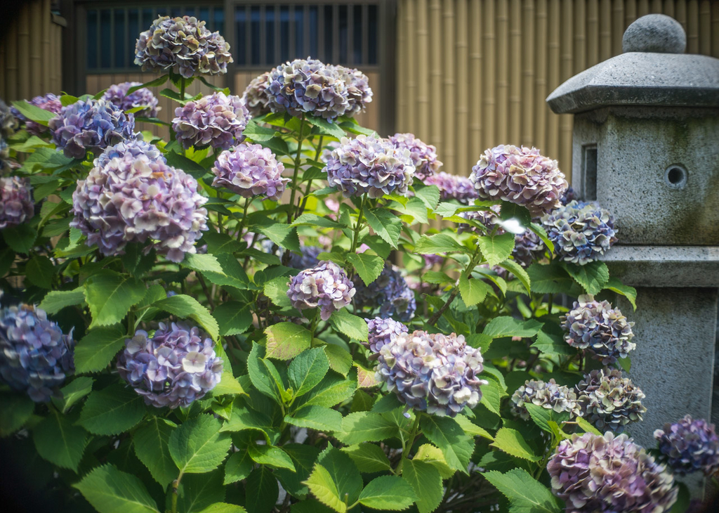 f:id:fortia:20180915121447j:plain