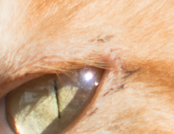 f:id:fortia:20181202164346j:plain f:id:fortia:20181202164346j:plain