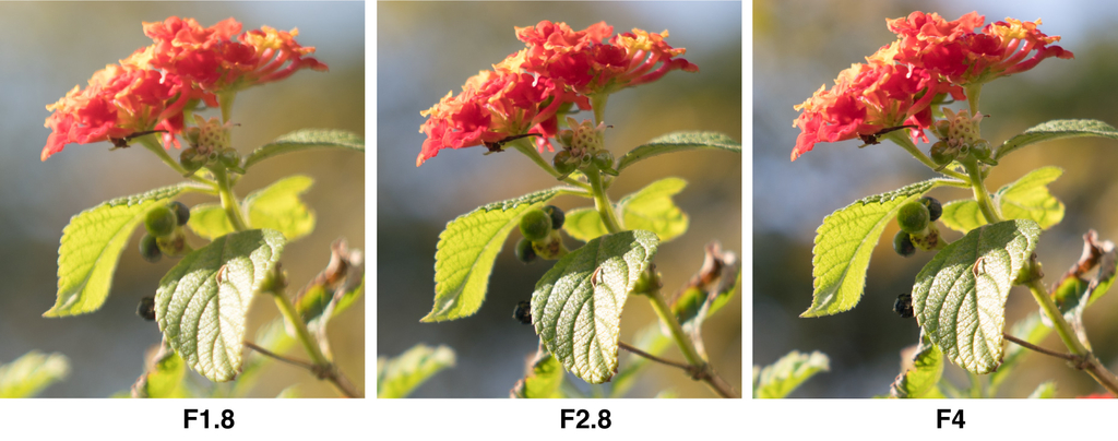 f:id:fortia:20181208165133j:plain f:id:fortia:20181208165133j:plain