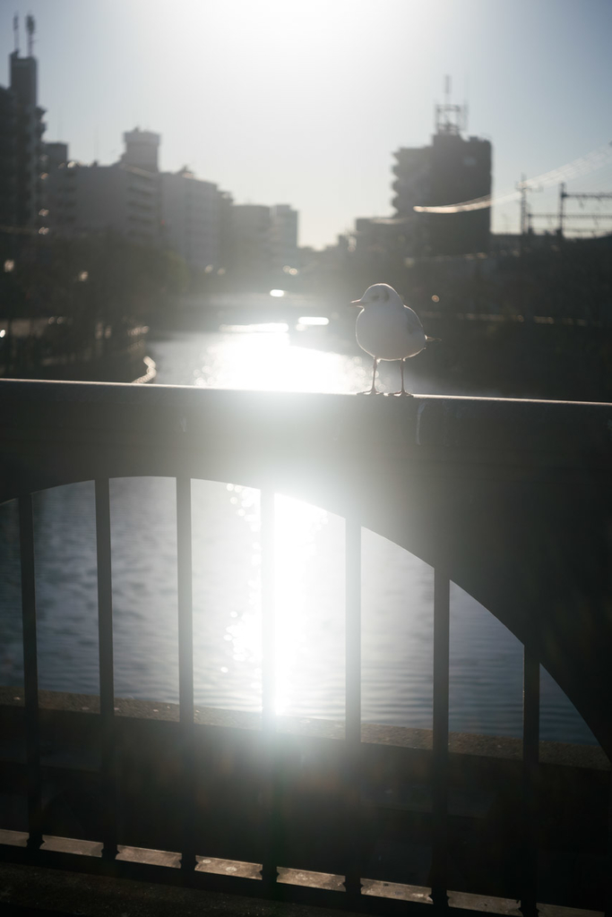 f:id:fortia:20190112164430j:plain