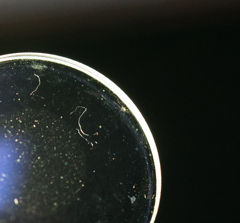 f:id:fortia:20191027202628j:plain