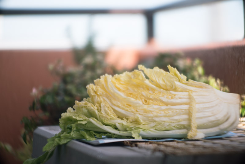 f:id:fortia:20191027210350j:plain