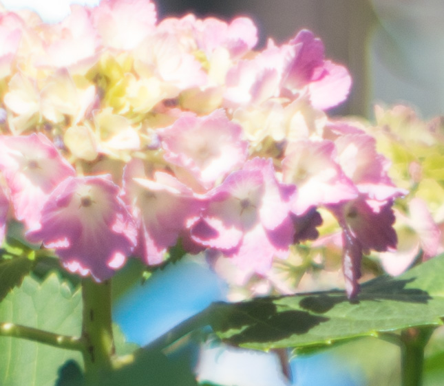 f:id:fortia:20200307113314j:plain f:id:fortia:20200307113314j:plain