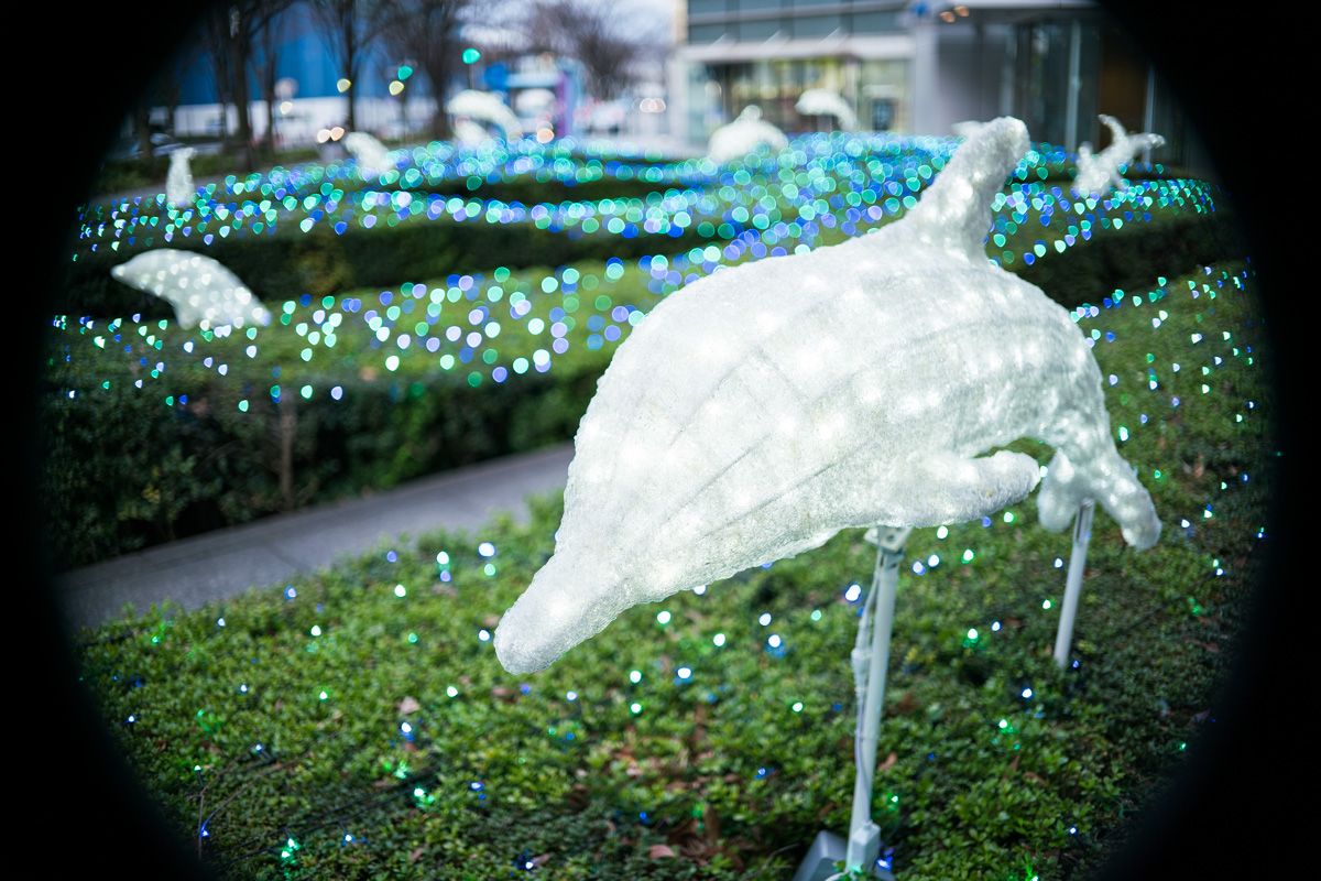 f:id:fortia:20210131002826j:plain