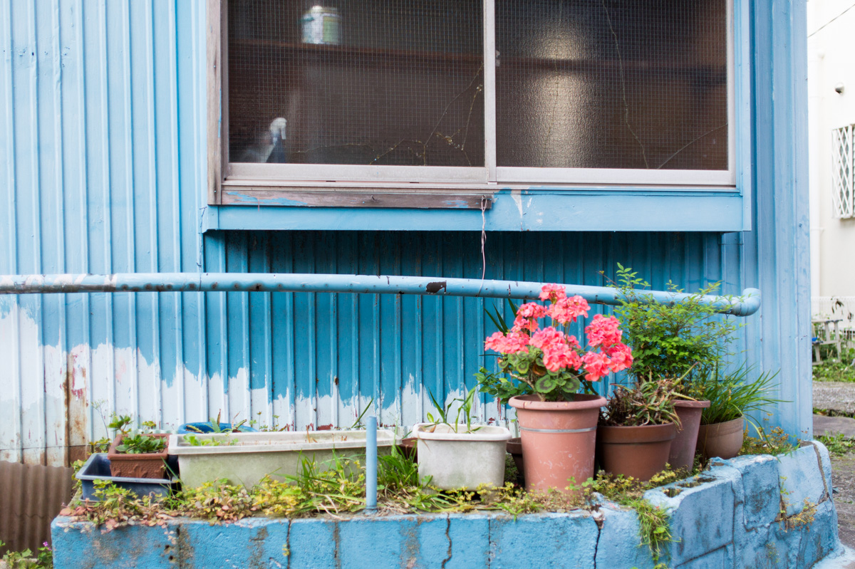 f:id:fortia:20210131013918j:plain